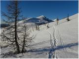 Planina Zajavornik - Debeli vrh above Lipanca